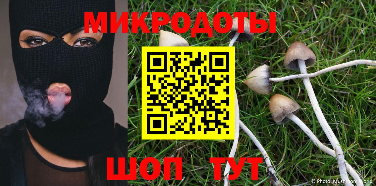 купить  сайты  Вход с VPN  Россия  Псилоцибиновые грибы ЛСД 